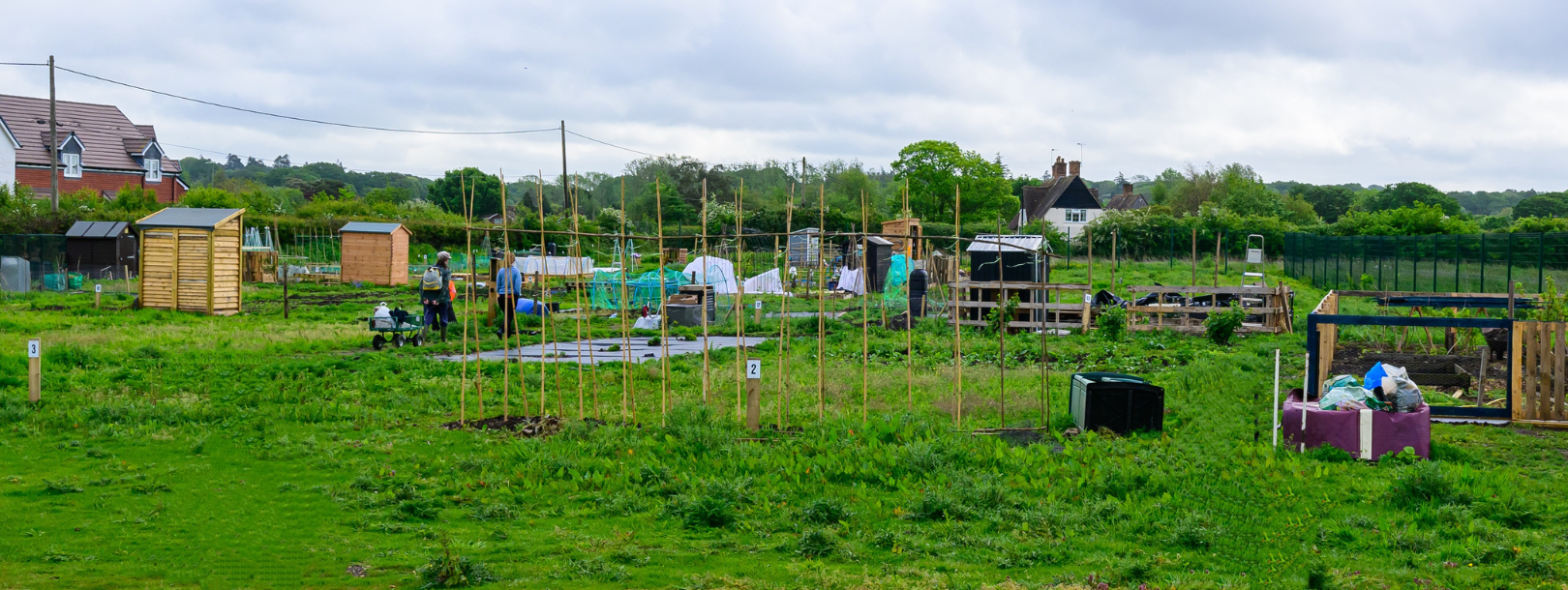 Opening of new allotment site at Crow Arch Lane