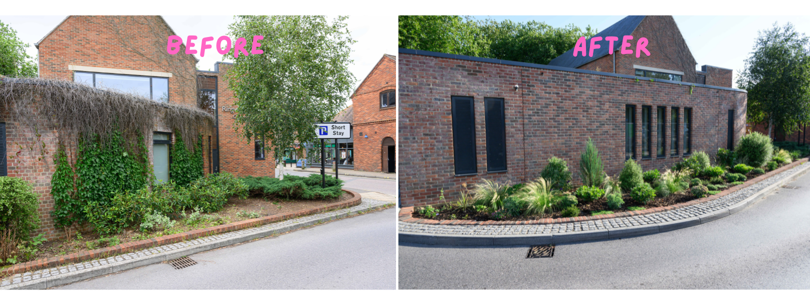 RACE to Green: Three Years of Volunteer Planting in Ringwood