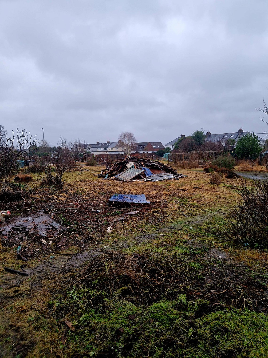 Clearance work in progress