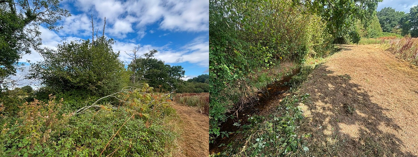Preparations Underway to Improve Crow Stream Capacity Ahead of Autumn and Winter