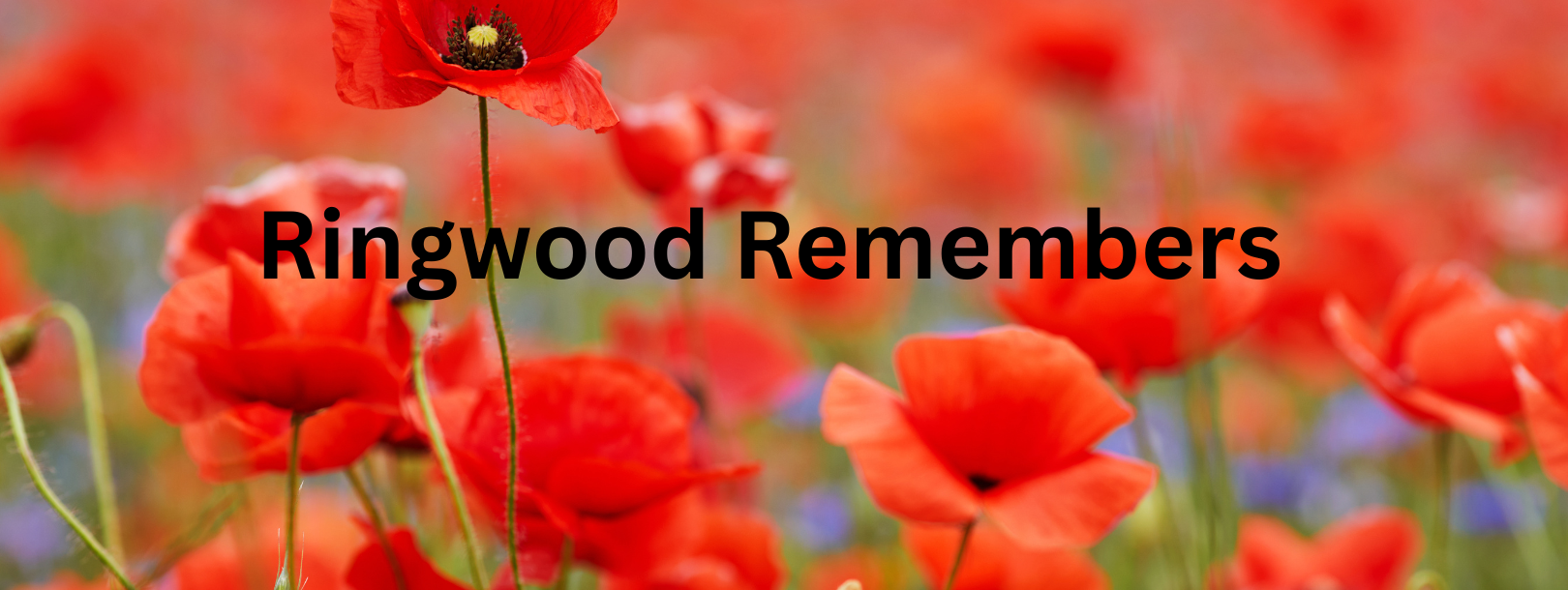 Ringwood Remembers: Community Invited to Commemorative Events
