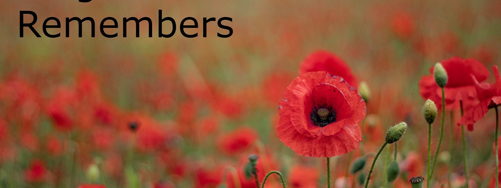 Remembrance Commemorations in Ringwood