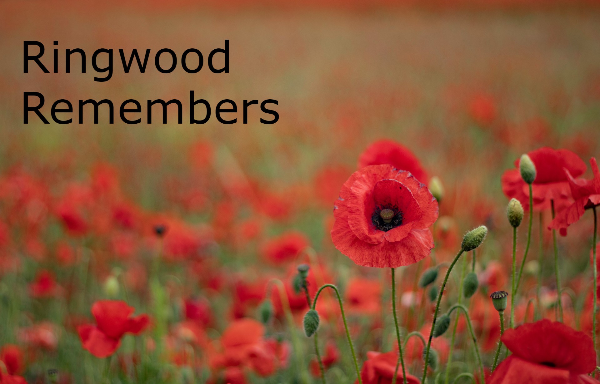 Remembrance Commemorations in Ringwood