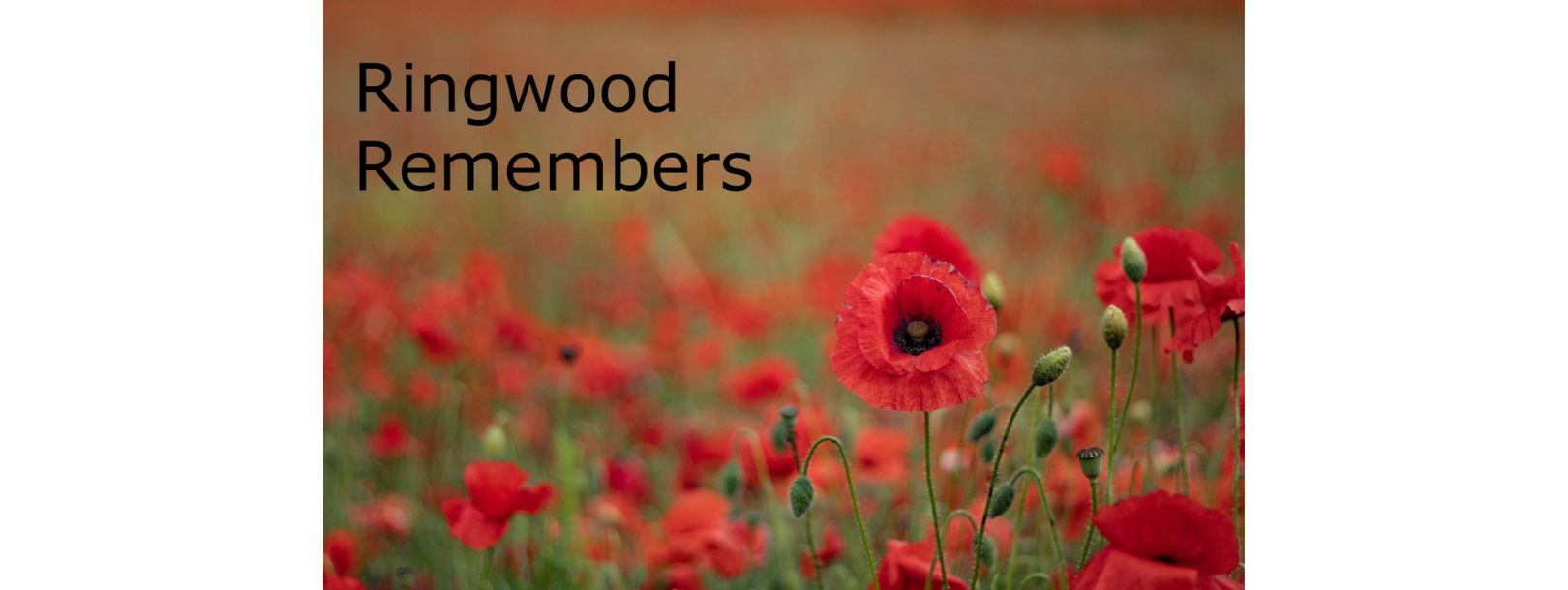 Ringwood Remembers